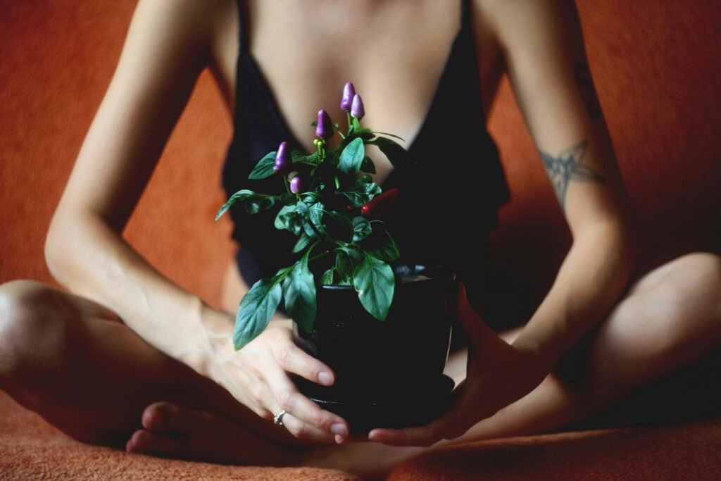 Woman holding a purple chili plant in a pot. Evokes a sense of nature and elegance.